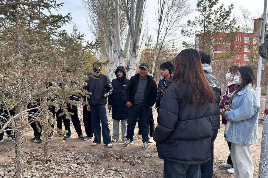 园林春风图片2_副本.jpg